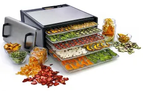 Дегидратор: принцип работы, виды и советы по выбору Дегидратор: принцип работы, виды и советы по выбору